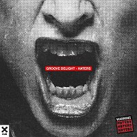 Groove Delight – Haters