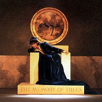 Enya – The Memory Of Trees