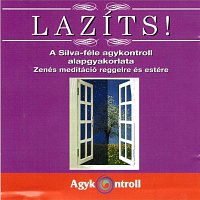 Agykontroll – Lazíts!