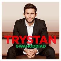Trystan, Budapest Art Orchestra, Nicholas Dodd, Ar Ol Tri, Emyr Davies – Gwahoddiad
