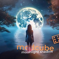 MODCUBE – Moonlight Shadow