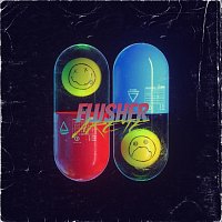 Přední strana obalu CD Flusher