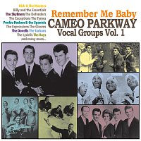 Přední strana obalu CD Remember Me Baby: Cameo Parkway Vocal Groups Vol. 1