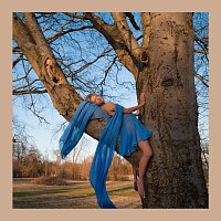 Carter Faith, Alison Krauss – Blue Bird