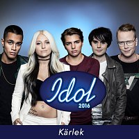 Různí interpreti – Idol 2016 [Karlek]