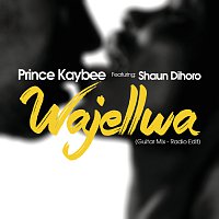Prince Kaybee, Shaun Dihoro – Wajellwa [Guitar Mix / Radio Edit]