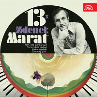 Přední strana obalu CD 13 x Zdeněk Marat