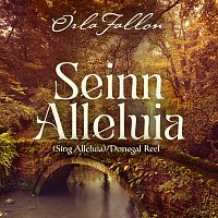 Órla Fallon – Seinn Alleluia/Donegal Reel  