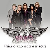 Aerosmith – What Could Have Been Love