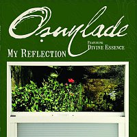 Osunlade, Divine Essence – My Reflection