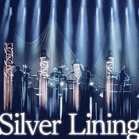 Straightener – Silver Lining