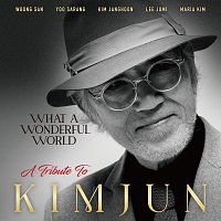 Různí interpreti – What a Wonderful World - A Tribute to Kim Jun
