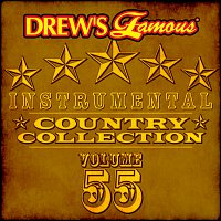 The Hit Crew – Drew's Famous Instrumental Country Collection [Vol. 55]