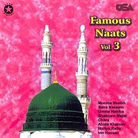 Různí interpreti – Famous Naats, Vol. 3