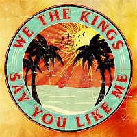 We The Kings – Say You Like Me