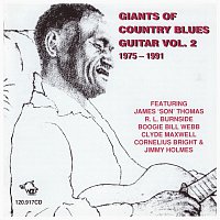 Různí interpreti – Giants Of Country Blues Guitar Vol. 2
