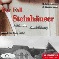 Christian Lunzer, Henner Kotte, Claus Vester – Der Fall Steinhauser: Fehlende Ausbildung