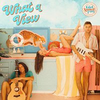 Girl Named Tom – What A View