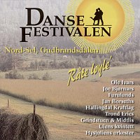 Různí interpreti – Dansefestivalen Nord-Sel, Gudbrandsdalen 2002 - Rate loyle'