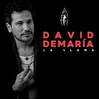 David DeMaría – La llama