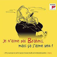 Various  Artists – Je n'aime pas Brahms, mais ca j'aime bien !