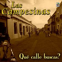 Las Campesinas – ?Qué Calle Buscas?