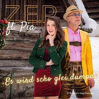 Přední strana obalu CD Es wird scho glei dumpa (feat. Pia)