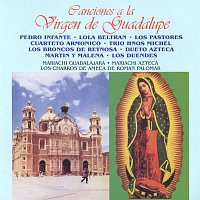 Various Artists.. – Canciones a la Virgen de Guadalupe