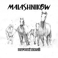 Malashnikow – Divoký koně FLAC