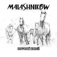 Malashnikow – Divoký koně