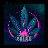 Asche – Sativa