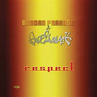 Přední strana obalu CD Respect