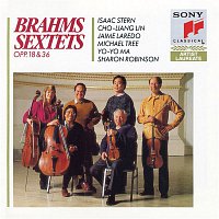 Yo-Yo Ma, Isaac Stern, Michael Tree, Cho-Liang Lin, Jaime Laredo, Sharon Robinson – Brahms: Sextets, opp.18&36