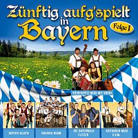 Různí interpreti – Zunftig aufgspielt in Bayern