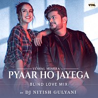 Vishal Mishra, DJ Nitish Gulyani – Pyaar Ho Jayega [Blind Love Mix]