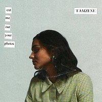 Tamzene – Cut Me Out Your Photos