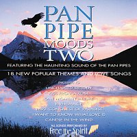 Pan Pipe Moods Two