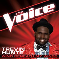 Trevin Hunte – Wind Beneath My Wings [The Voice Performance]