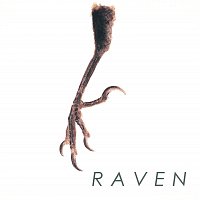 Raven – Kagirinaku Akani Chikai Kuro