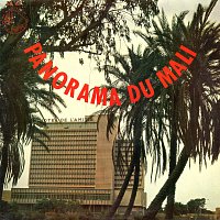Různí interpreti – Panorama du Mali
