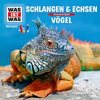 48: Schlangen & Echsen / Vogel