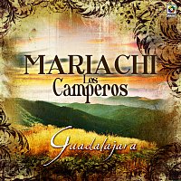 Mariachi los Camperos – Guadalajara