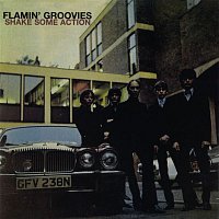 Flamin' Groovies – Shake Some Action