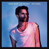David Shaw And The Beat – So It Goes