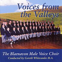 Přední strana obalu CD Voices from the Valleys