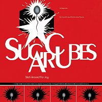 The Sugarcubes – Stick Around For Joy