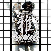Přední strana obalu CD Miyavi -This Iz The Japanese Kabuki Rock-