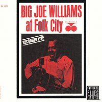 Big Joe Williams – At Folk City