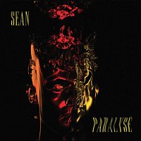 sean – paralysé