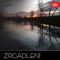 Různí interpreti – Zrcadlení MP3